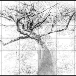 grandeza 3720-5, 2024