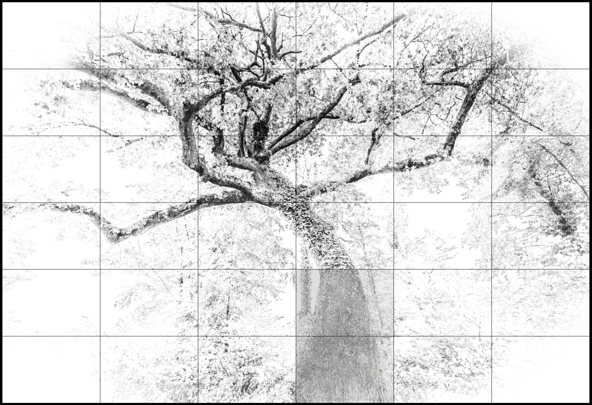 grandeza 3720-5, 2024