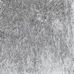 grandeza 3720-5, 2024